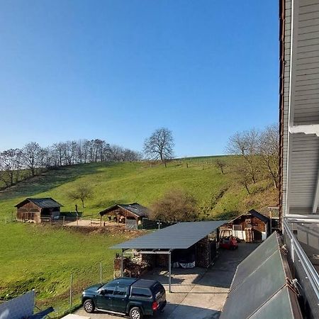 Grosse Tolle 4 Zimmer Ferienwohnung Im Herzen Des Odenwaldes Mörlenbach Εξωτερικό φωτογραφία