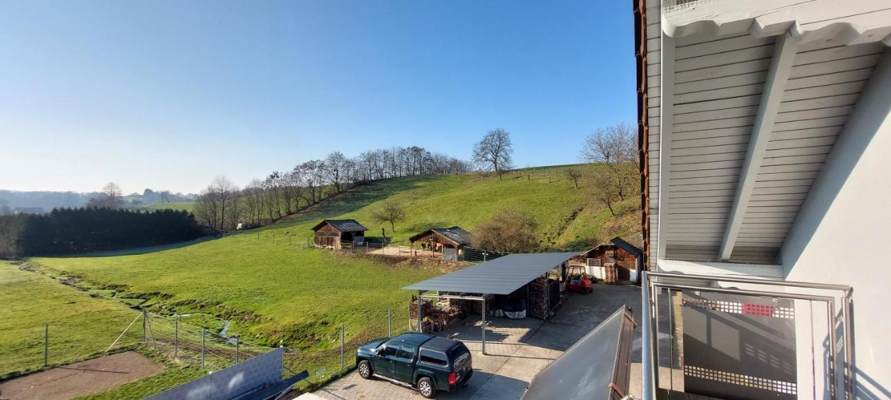 Grosse Tolle 4 Zimmer Ferienwohnung Im Herzen Des Odenwaldes Mörlenbach Εξωτερικό φωτογραφία
