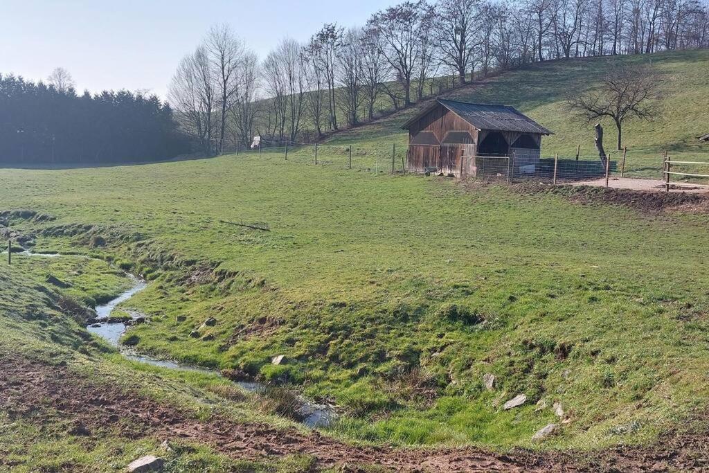 Grosse Tolle 4 Zimmer Ferienwohnung Im Herzen Des Odenwaldes Mörlenbach Εξωτερικό φωτογραφία