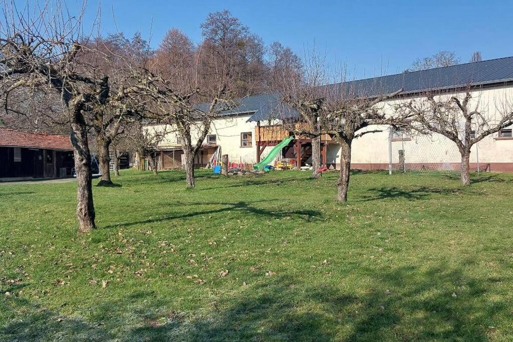 Grosse Tolle 4 Zimmer Ferienwohnung Im Herzen Des Odenwaldes Mörlenbach Εξωτερικό φωτογραφία