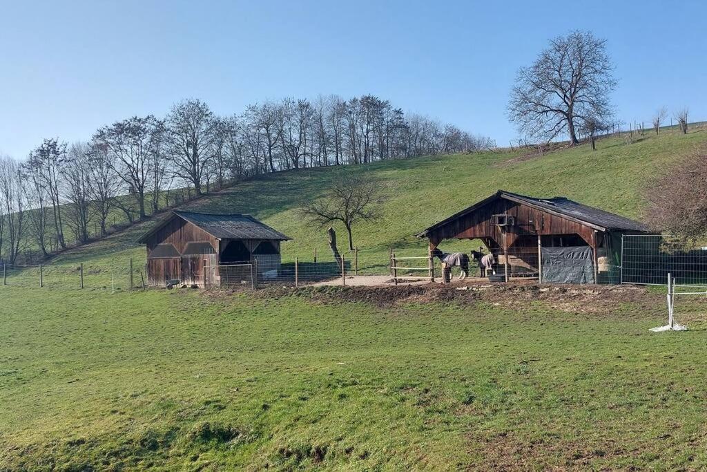Grosse Tolle 4 Zimmer Ferienwohnung Im Herzen Des Odenwaldes Mörlenbach Εξωτερικό φωτογραφία