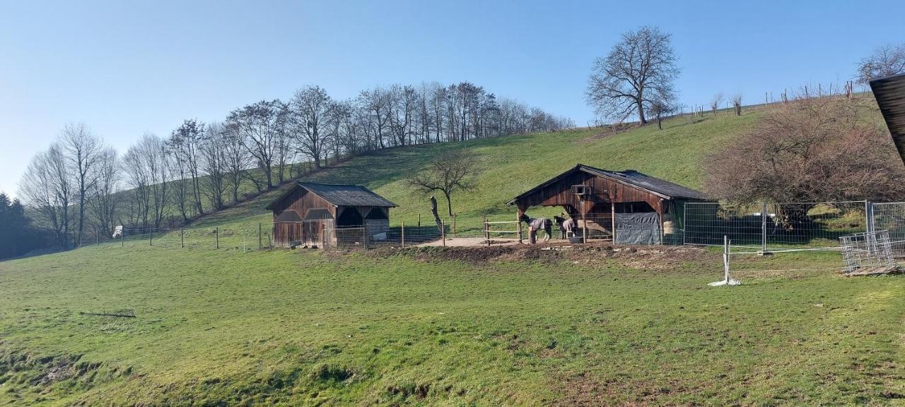 Grosse Tolle 4 Zimmer Ferienwohnung Im Herzen Des Odenwaldes Mörlenbach Εξωτερικό φωτογραφία